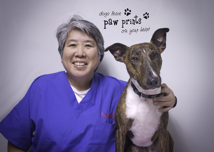 Our Team Waipahu Vet Waipio Pet Clinic